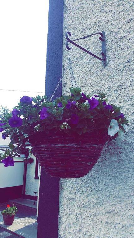 Castle Lodge B&B Kilkenny Room photo